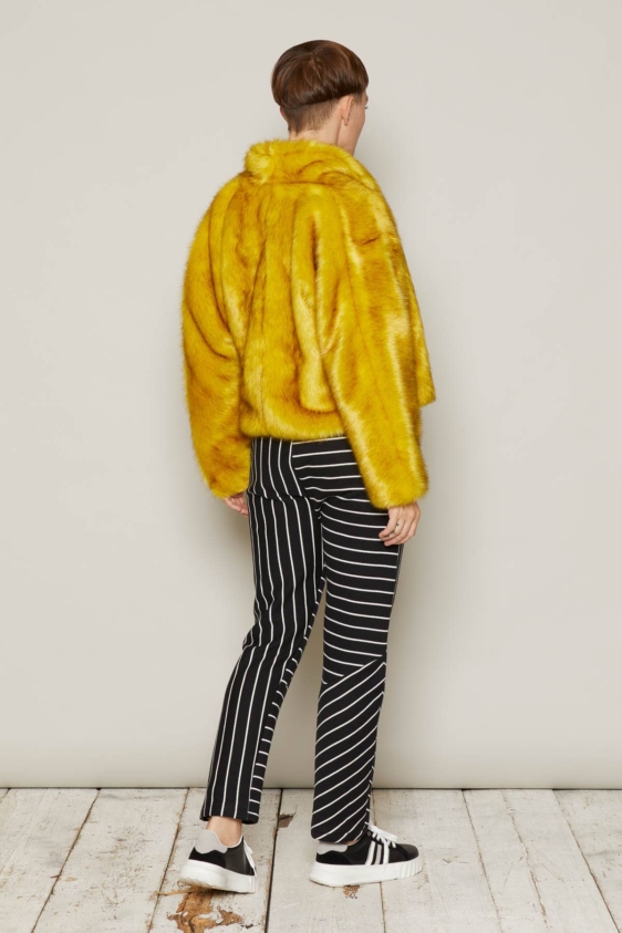 Tiffany Jacket (Goldfinch) - Image 5