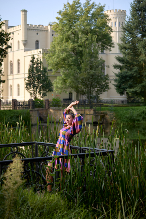 Alicja Check Dress - Image 7